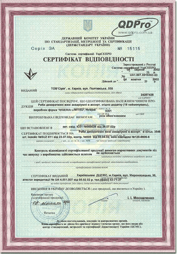 Сертифікат відповідності